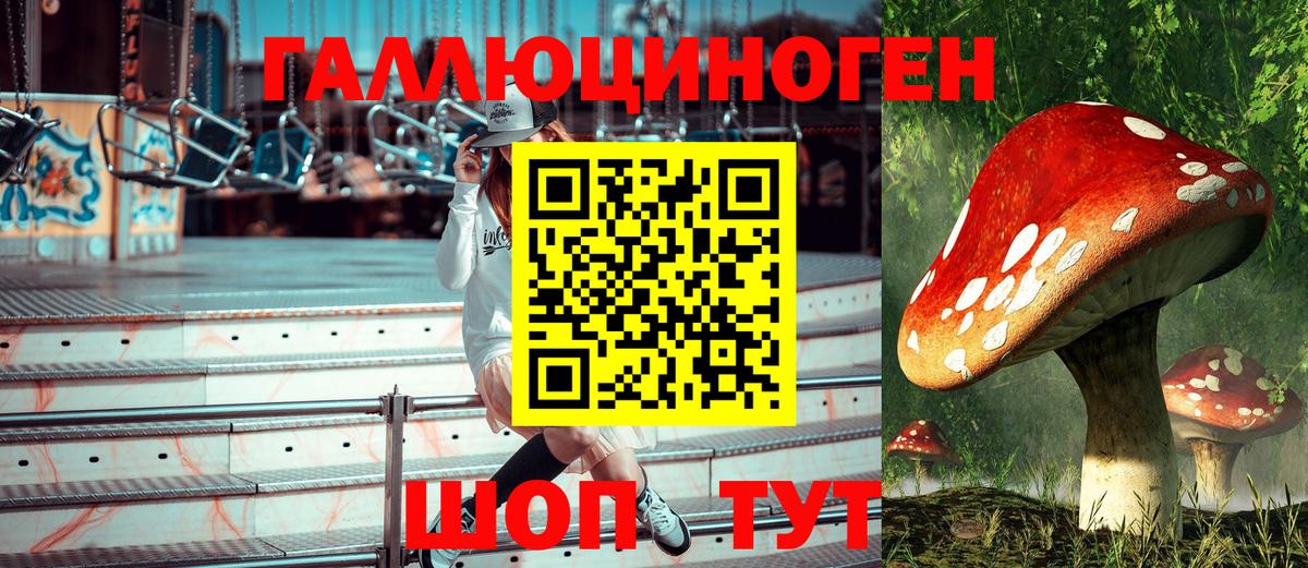 Рыбинск  как найти   Вход с VPN  Галлюциногенные грибы мухоморы 